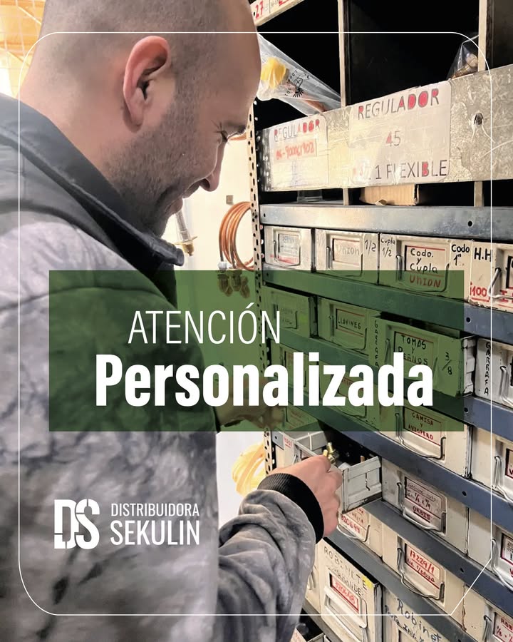 Galería Sekulin 1
